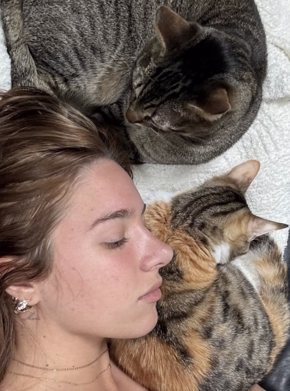 meow