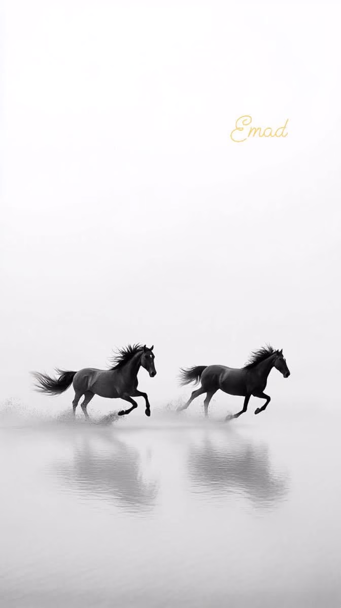 تَحْكِي الرِّيَاحُ قِصَصًا عَنْهَا، كَيْفَ كَانَتْ صَامِدَةً فِي وَجْهِ العَاصِفَةِ، وَكَيْفَ أَصْبَحَتْ أَقْوَى بَعْدَهَا. 💙