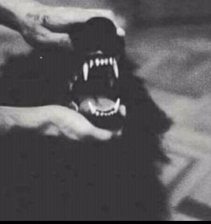 عيش ما شئت فانك ميت 🖤#عيش 🖤#متابعة_ياغوالي