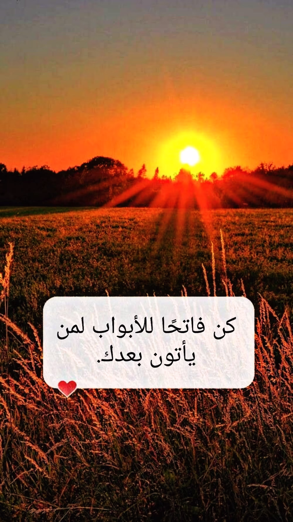 كن فاتحاً للابواب لمن ياتون بعدك

#العراق #مقولات