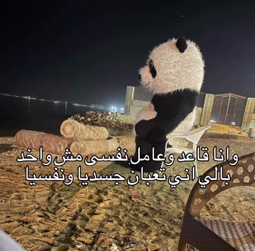😂😂 
#memes #football #motivation #Palestine #Egypt
 #فلسطين #أيام ميمز