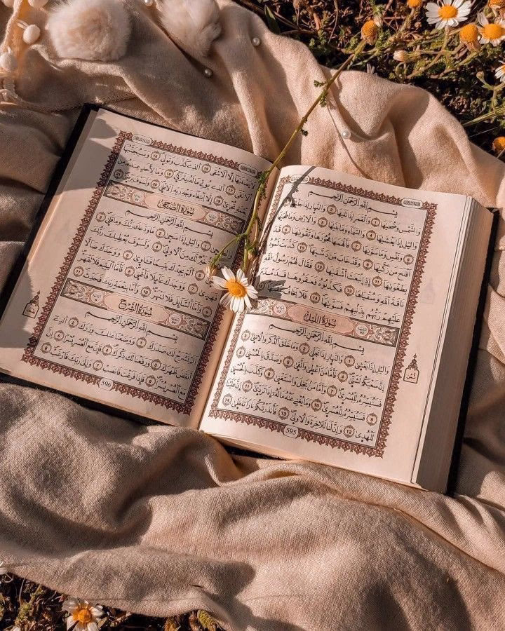 الأمل كالزهرة التي تبُث إلينا حلاوة ريحها، وتسحرنا برونق منظرها، فارضة علينا الإنجذاب إليها محاولين بكل جهد الحفاظ عليها.🌹♥️