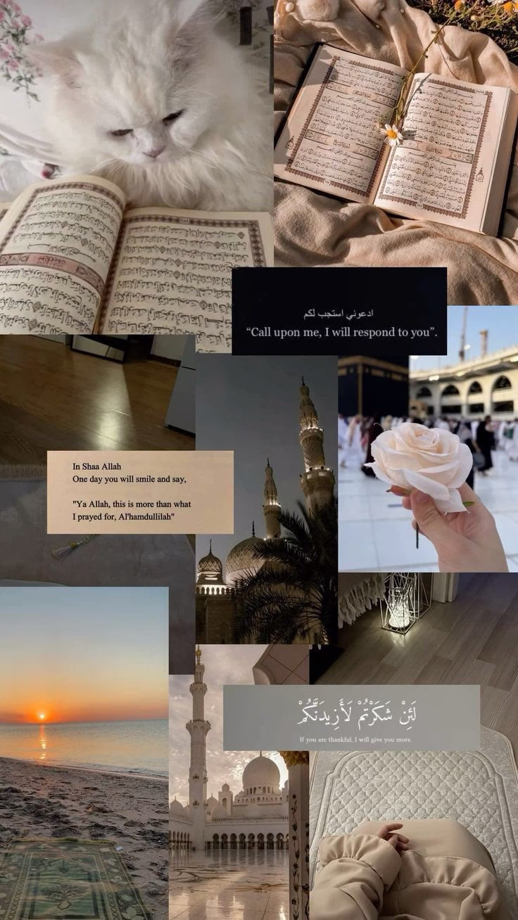 كُن حنونًا على نفسك، لا يجب عليك أن تكون مثاليًا في كل مرة، وليس على الأيام أن تكون رائعة ومشرقة دائمًا، لابد من أيامٍ تنخفض فيها طاقتك وشغفك، أيام لا تشعر فيها بأي دافع للتقدم أكثر، عامل نفسك بحُب خلالها، تقبّلها واحتضن روحك المُتعبة، احترم قدراتك وطاقتك فهذه طبيعتنا كبشر بسطاء. 🌿💙