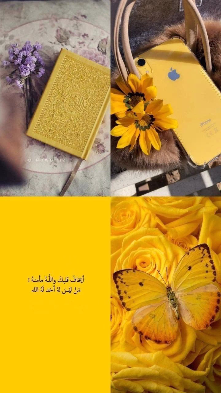 أزعل وعيط وإنهار عادي جدًا بس أرجع وقوم تاني من جديد أنت مافيش قدامك غير إنك تكمل لحد مايحصل حاجه تغير كل حاجه للأحسن🩵."