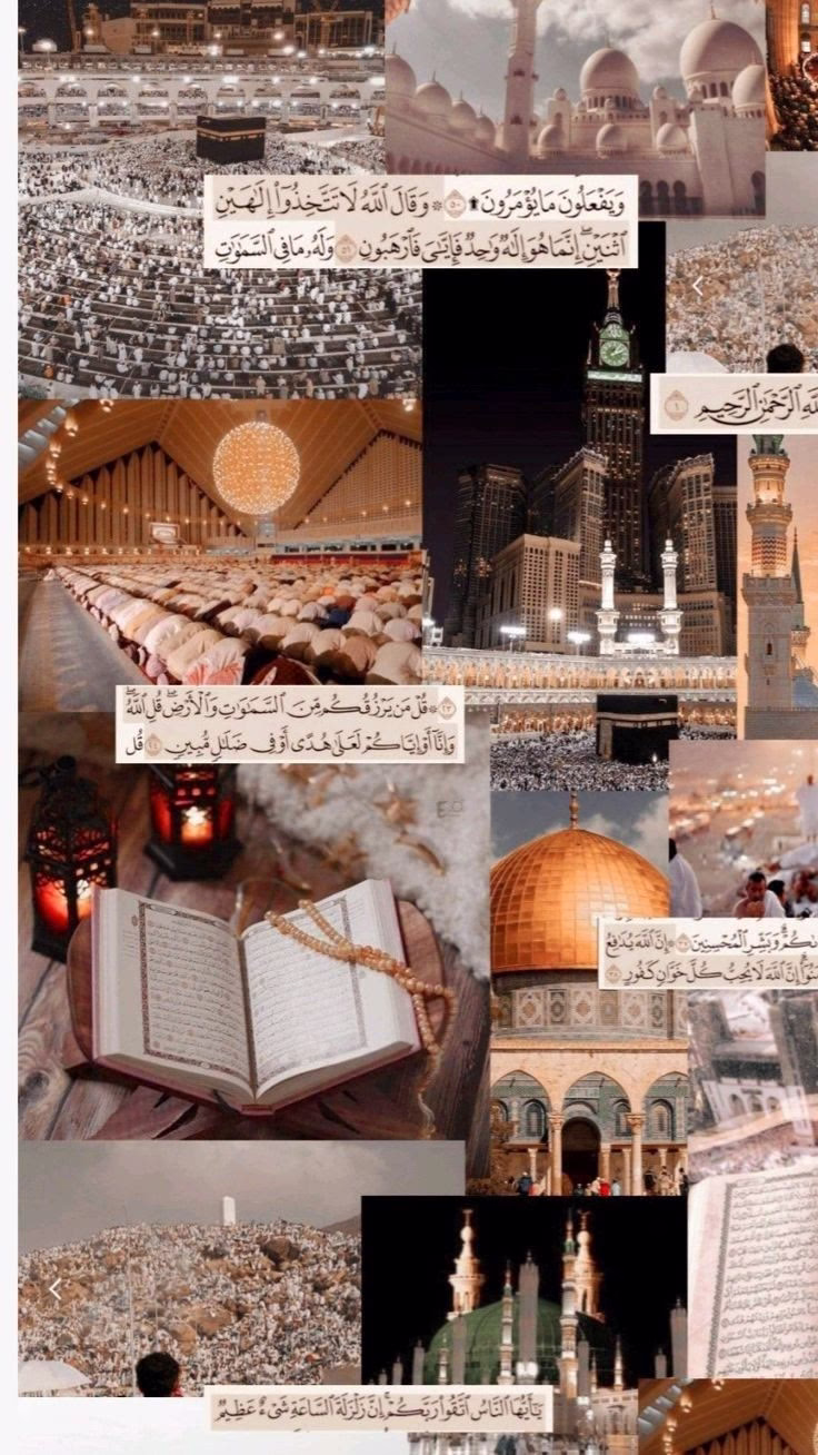الحمد لله الذي أنعم علينا بتبدُّل الأحوال وتقلُّبِ القلوب، 
لو ابتلانا بدوام الرخاء لاسترسلنا في الشهوات، 
ولو ابتلانا بدوام الشدّة لأحاط بنا العجز واليأس، 
بل هو يُقلِّبنا بين القبض والبسط في كل وقت وحين.. 

الحمد لله أن حظوظنا من الدنيا ناقصة، 
أفراحنا على وجل، 
وقلوبنا لا تأمن انتكاسات الأيام، 
سبحانه يُرَبِّينا بلُطفه.. 

لولا الرخاء لما رُزِقنا نعمة الشكر على الرخاء، 
ولولا الشدائد لما رُزِقنا الافتقار إليه، 
الحمد لله القابض الباسط 
اللطيف الخبير
الحمد لله بعدد ما تقلَّبت أحوال العباد