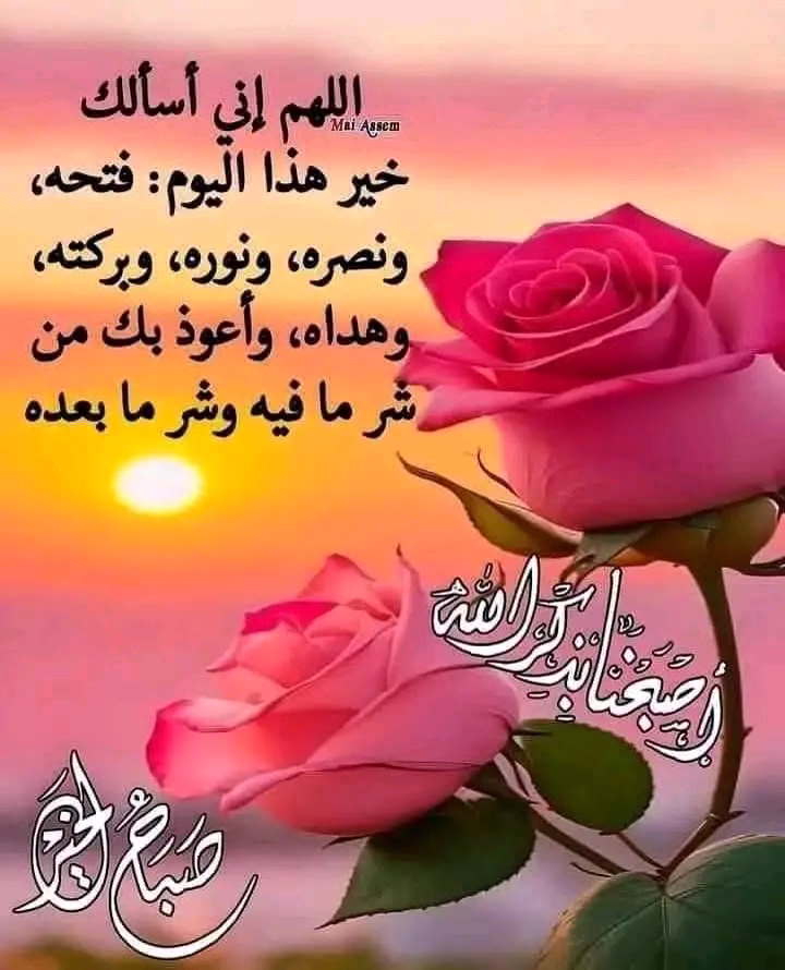✍🏻 دعاء فجر🌙الخميس ٢٨ نوفمبر ٢٠٢٤📿

آللهُـــ🤲🏻ـــمَّ إني أسألك في هذا الفجر 🌙🕋
أن تفتح لنا ابواب الرزق والخير 
وأن تنعم علينآ براحة البال
   وصلاح الأحوال  وقبول الأعمال 🤲🏻
       وصحة الأبدان 
وفرجاً لكل هماً و كرب 
     وشفاء لكل مريض
    ومغفرة لكل الذنوب والهداية لكل عاصي 
    والإستجابة لكل الدعوات 

اللهم آميـــــ🤲🏻ـــــــن ياااارب العالمين