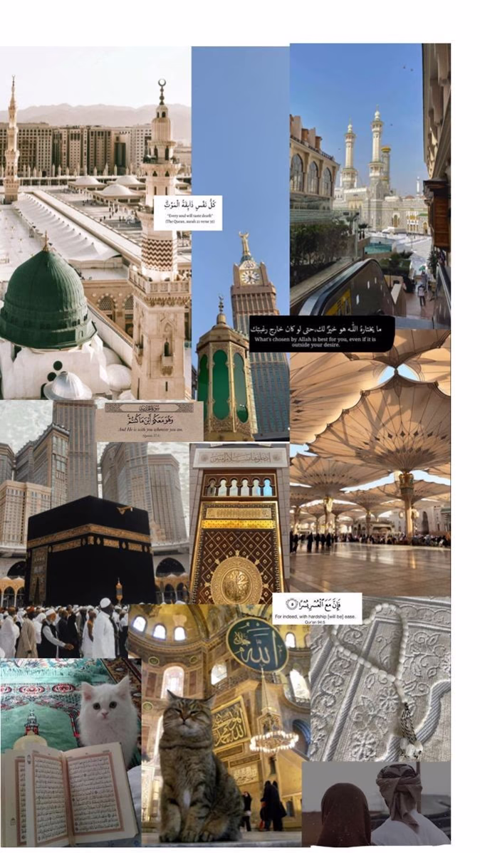 قالَ عليٌّ رضيَ اللَّهُ عنهُ : ألا إنَّ الوترَ ليسَ بِحَتمٍ كصلاتِكُمِ المَكْتوبةِ ، ولَكِنَّ رسولَ اللَّهِ صلَّى اللَّهُ عليهِ وسلَّمَ أوترَ ثمَّ قالَ : أوتِروا يا أَهْلَ القُرآنِ ، أوتِروا فإنَّ اللَّهَ وترٌ يحبُّ الوترَ

📌ماذا كان يقرأ النبي في صلاة الوتر ؟وماذا كان يقول النبي صلى الله عليه وسلم بعد صلاة الوتر؟

 كانَ رسولُ اللَّهِ يوترُ بِ سَبِّحِ اسْمَ رَبِّكَ الْأَعْلَى وَ قُلْ يَا أَيُّهَا الْكَافِرُونَ وَ قُلْ هُوَ اللَّهُ أَحَدٌ
📌 ويقولُ بعدما يسلِّمُ : 👈سُبحانَ الملِكِ القدُّوس ثلاثَ مرَّاتٍ ، يرفَعُ بِها صوتَهُ