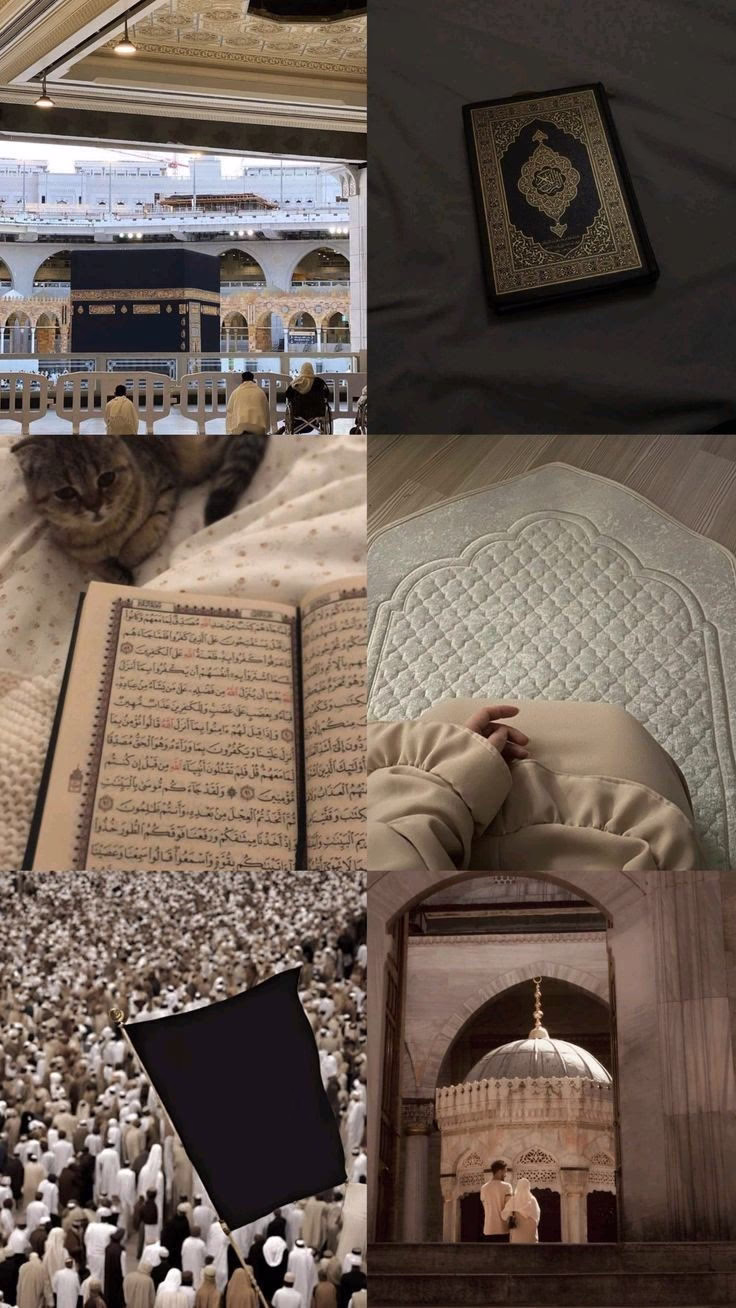 غفَر الله لِ "منـار  وَلوُالدَيـّهِا .." )

ورَحِمَ الله عبداً قال آمين'🥺💗