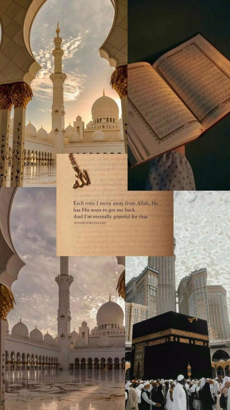 *جَبَرَ اللَّهُ قَلْبَ ڪُلِّ مِنْ* .
                 " *صَلَّى عَلَي النَّبِيِّ مُحَمَّدٍ"* *ﷺ*🤍
