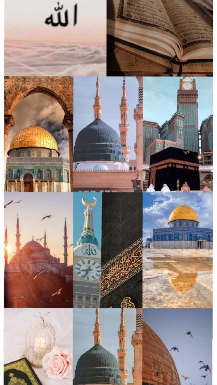 سلام عليكم ورحمة الله وبركاته 

حينَ وصفَ اللهُ نسَاء الجنَّةِ قالَ : ﴿قَاصِرَاتُ الطَّرْفِ﴾ ، 
ثمَّ قال : ﴿كَأَنَّهُنَّ الْيَاقُوتُ وَالْمَرْجَانُ﴾ .

- قدَّمَ العِفَّةَ والحَياء علىٰ الحُسنِ والجمال، فَلا قِيمةَ لِحسناءٍ دونَ عِفَّتِها.🥰🤎