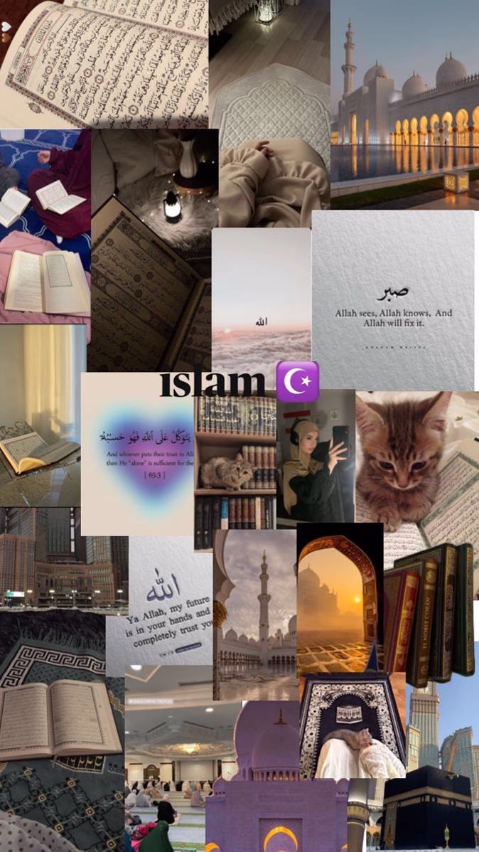 كُنت قاعده بفكر في أمرٍ ما مضايقني ؛ فَ قابلت جُملة حلوة جدآ وطمنت قلبي شوية ، بتقول:
ما يمكن أنت بتطلب وردة
وربنا عايز يديك الجنينة كُلها.

حاضر يا ربّ ، هصبر.