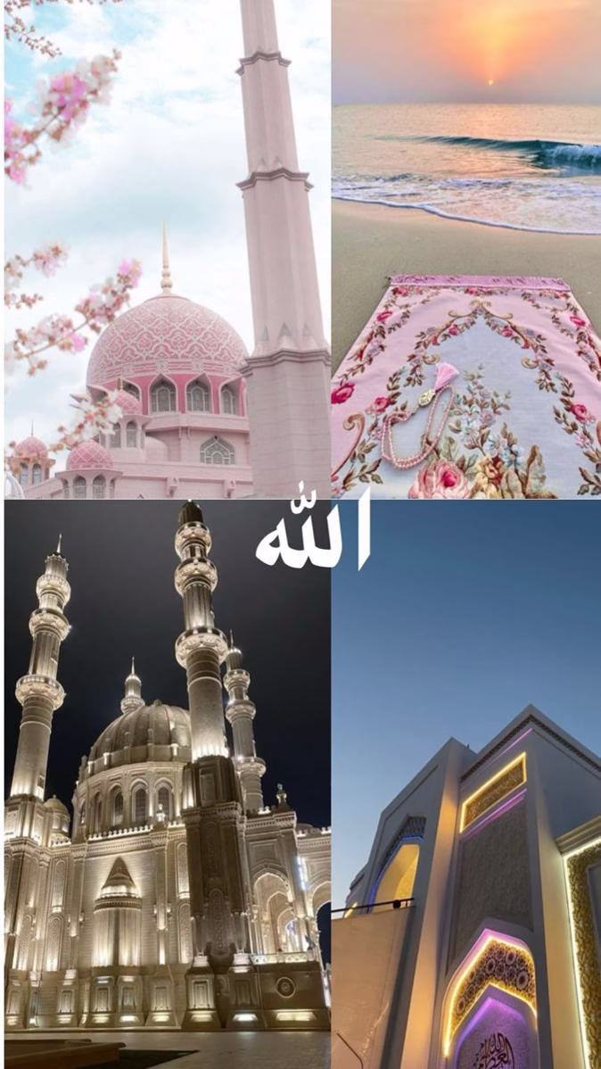 صلوا على سيد الخلق ﷺ 
🌸🤍