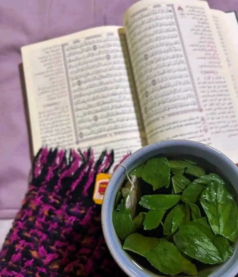 كان السّلف إذا نشأ لأحدهم ولدٌ شغلوه بحفظ القرآن وسماع الحديث فيثبُت الإيمان في قلبه . 

- ابن الجوزي رحمه اللّٰه .💜⁦☘️⁩