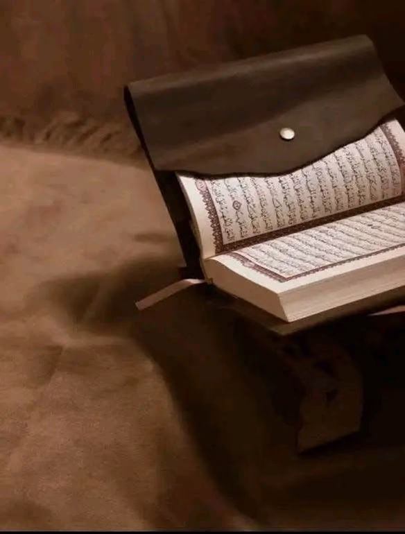 «إنَّما كانَ القرآنُ روحًا ؛ لأنَّه سببُ حياةِ هذهِ الأمَّة ، مِن حيثُ هيَ أمَّة ، وسببُ حياةِ القُلوب ، فَلا يموتُ قلبٌ خالطَت نبضَه آياتُ القرآنِ الكرِيم ، ولَا حياةَ لقلبٍ خليَ مِنها» .🤍⁦☘️