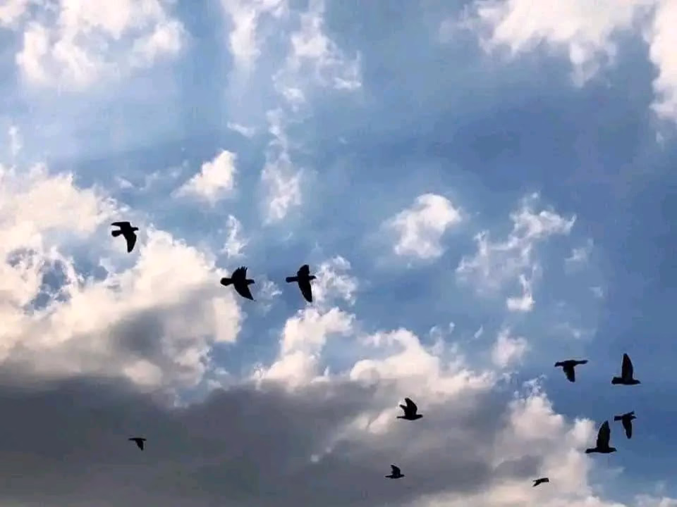 (.. قال كلا ۖ فاذهبا بآياتنا ۖ إنا معكم مستمعون ..)
يالها من رهبة ، يالها من روعة .. ياله من موقف  .. الله يقول للدعاة إنا معكم مستمعون !!!
لو أن كل داع إلى الهدى تيقن أن الله يطلع على صدق نيته ، وينظر كيف يحمل عبء دعوته ، ويسمع محاوراته ومقولاته ، لاجتمع في قلبه عز الانتساب ، وصدق الاحتساب ، وخوف عدم القبول ، وحرمان الوصول ،
فلا يغرنك ماذا قال عنك الناس ، ولكن انظر ماذا قال عنك رب الناس ……. ⁦☝️⁩💜⁦☘️⁩