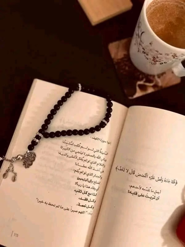 أتمنى أن تقودَنا الحياةُ في نهايةِ المطافِ إلى محطةٍ آمنةٍ ،

أنا وكلُّ من استنفذَ عمرَه في الركضِ دون وصولٍ .💜⁦☘️⁩