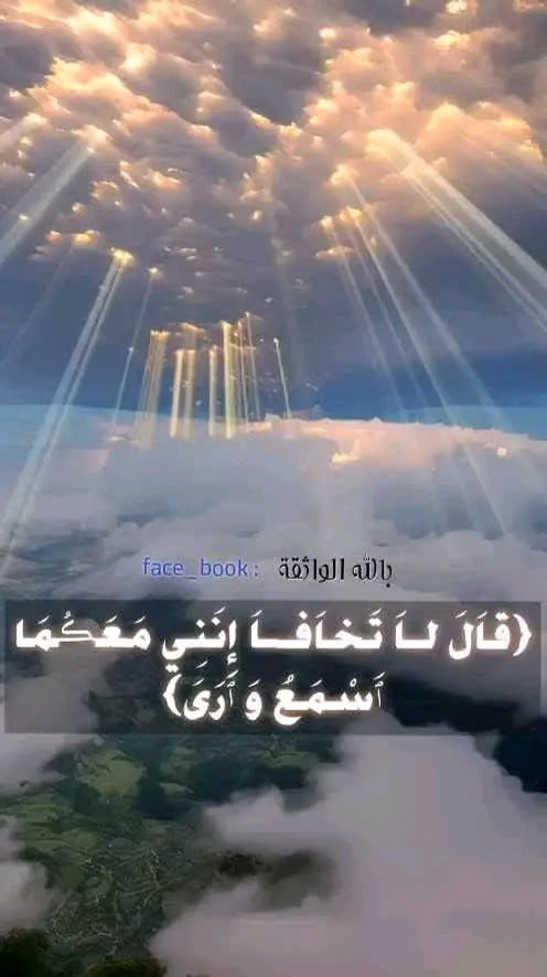 بينما انت غارق في شتاتك...🥀🍃

 هناك رب يدبر الامر كله بالخير فاطمئن ...✨🌊