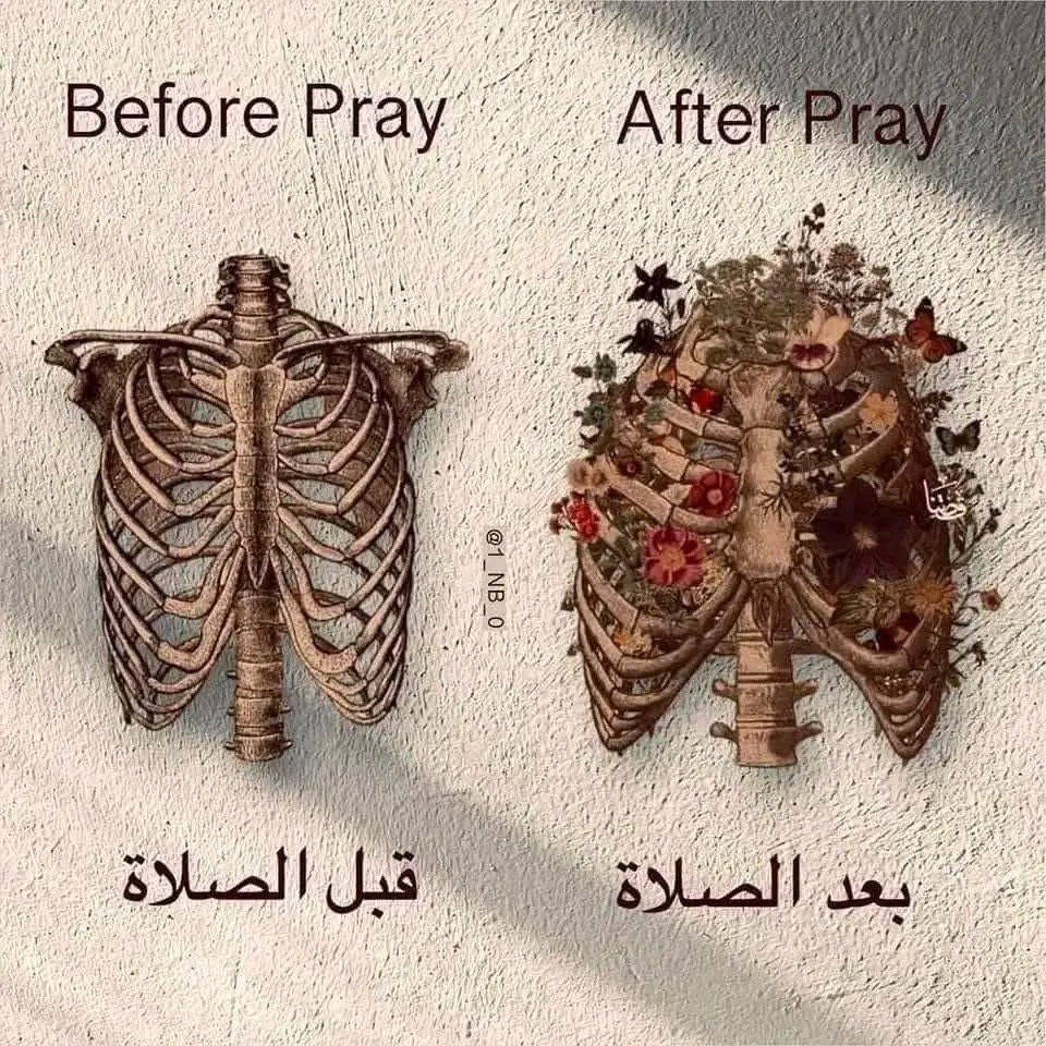 إِنَّ الصَّلَاةَ كَانَتْ عَلَى الْمُؤْمِنِينَ كِتَابًا مَوْقُوتًا ♥️