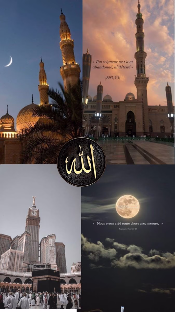 - اللهم لك الحمد لله حتى ترضى ولك الحمد اذا رضيت ولك الحمد بعد الرضا .🤲🏻❤