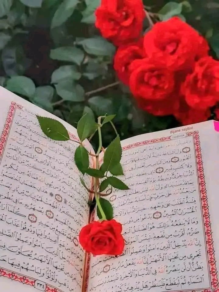 صُدُور  الخلق  أوعية  .. 
وقيمتها على قدر  ما يُستودعُ فيها  ..  
وأعظم  ودائع  الصدر  القرآن  ..  
...  قال الله تعالى  ... 
{ بل  هُو  آياتٌ بيّناتٌ في  صُدُور الذينَ أُوتُوا العلم} .💜⁦☘️⁩