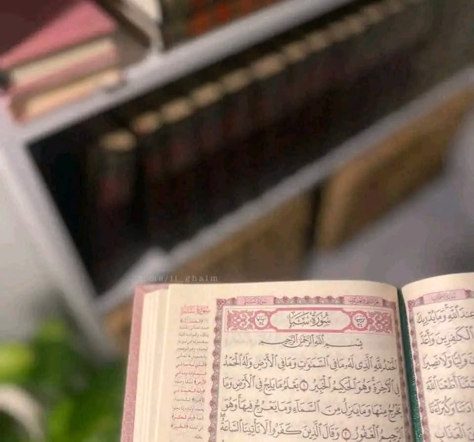 ‏" لا يزال المؤمن يُقبل على القُرآن حتّى يجد فيه سلواه ، وأُنسه وثبات أوتاد الإيمان في قلبه" .💜⁦☘️⁩