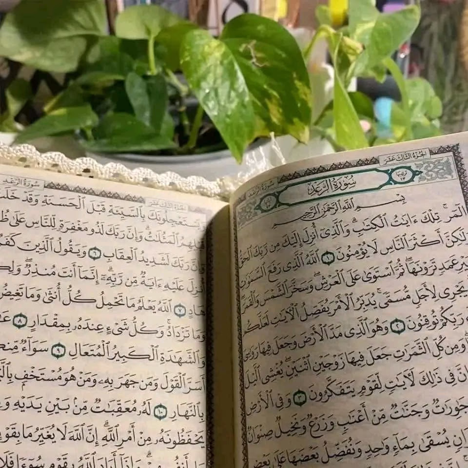 ‏‎وإذا اللطيفُ أرادَ شيئًا قال"كُن" فيكونُ مهما الأمرُ بانَ مُحالا! 

اللهم سروراً يستقر في القلب وقراراً
مكيناً ولطفاً ينعش أرواحنا ويُسقينا.♥