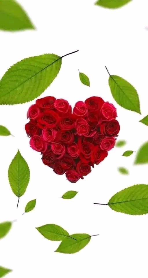 الود بالود يسقى والصدق بالصدق يجزى ومن كان لنا سكناً كنا له وطنا
نحن بسطاء نؤمن بالعفوية والنقاء
ونعذر من نسي ونُسعد من بقي
ومن ساق لنا بالطيب قولاً وفعلا 
سقنا له بالود والمحبة والإحترام
وما لغة الاحترام إلا اخلاقا تربينا ونشاءنا عليها ... 💜🌹