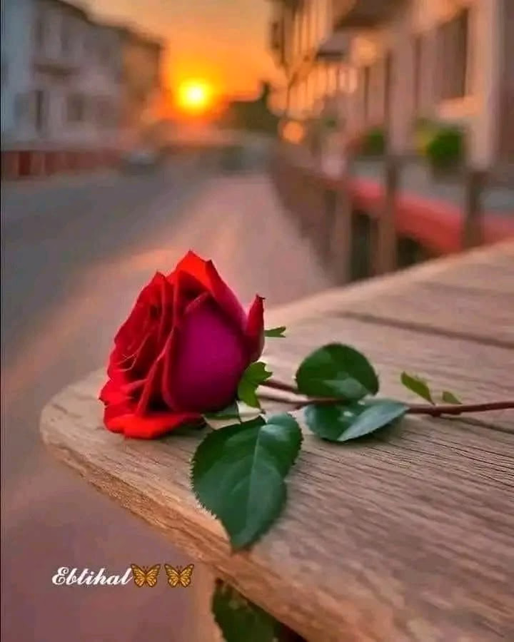 قد نلتقي مـجددٍآ ولكن  ..  بــقلوب مختلفة  ..🥀