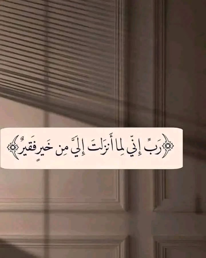 ‏•°
*حاربـوا الحـزن بالقرآن ✅*

*لا بالعـزف والألحـان . ❌*

*فالذي «أضحـك وأبكى»* 
*هو الرحمـّن وليس الفنّـان !!.*🌱🪻
إحذر أن تنقطع عن القرآن بسبب ظروفك!❎

فوالله لا يعينك على تلك الظروف إلابركة تلاوته✅

اللهم اجعلنا من أهـــل القرآن وخاصته🤲🌸🌱