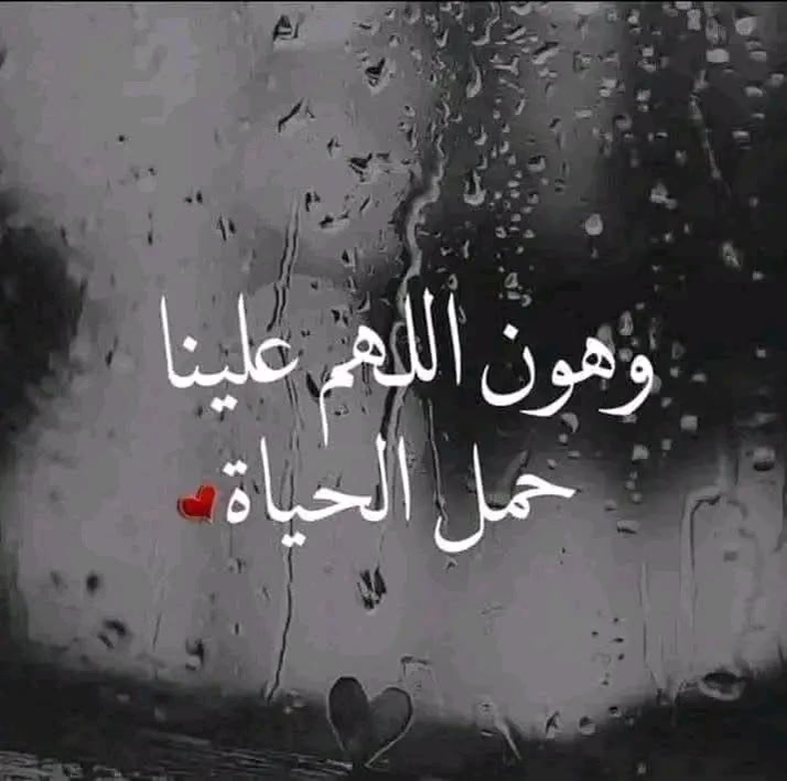 ‏” لـــــقد ســــلگنآ دروبــاً شـتى يــا ألله 

و مـــا وجدنــا ألـــراحة  والســكينة إلا

          فــــي دربـــگ   فردنــــا

🤍

🤍