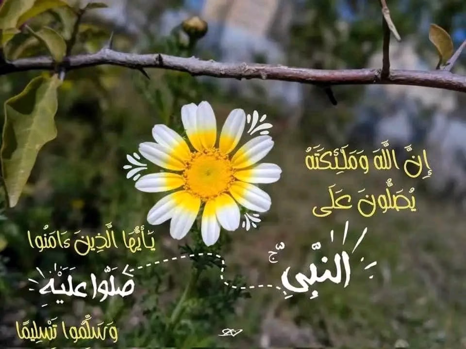 ‏🌷 قال الله تعالى : ﴿وَلا تَمُدَّنَّ عَينَيكَ﴾ ..
👌 لا تُرهق نفسك بالمقارنات لأنه كلما اتسعت عيناك ضاق صدرك ، وارضى بما قسمه الله لك واشكره على نعمته تكون أغنى الناس ..
👌 كف عينك عن رزق غيرك ترزق ..🌹