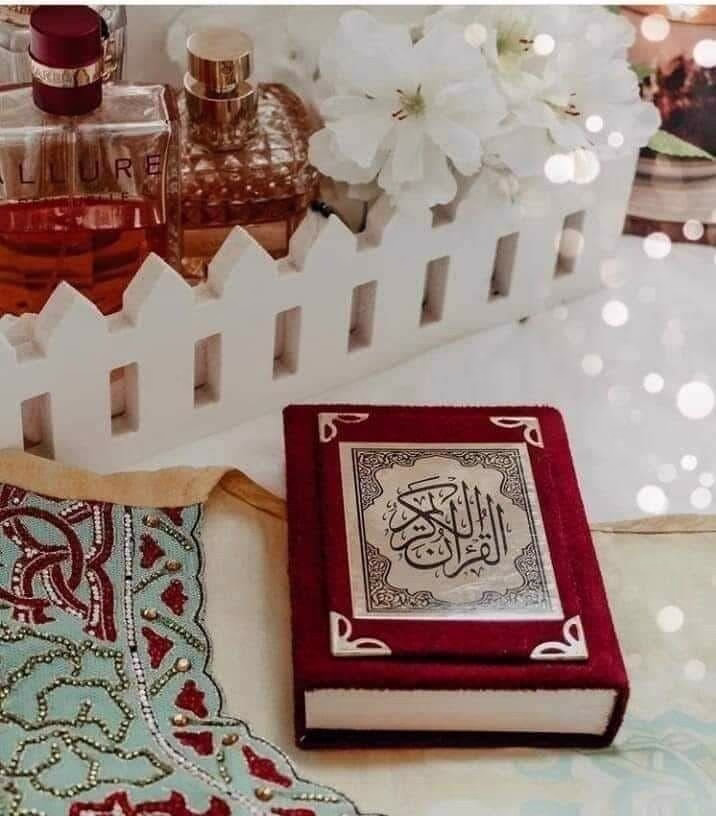 "هَنِيئاً لَكَ؛ يَا مَنْ دَخَلْتَ وَسَبَّحْتَ تَسْبِيحَةَ يُونُسَ." 🐋💙