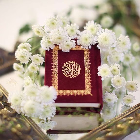 أنًت المقصودُ بإذن الله ❤️
أحياناً يُرسل الله إليك لطُفه على هيئة رسالةُ أو آية تستمعِ لها أو تقرأها ، تُداوي الآمك وتجبر كسورك، في اللحظة المناسبة تحديداً حين كدتِ أن تقطعِ الرجاء ، غَمرتك رحماتُ الله من كُل جانب وخذ على سبيل المثال هذه الاية : 
‏"..قَالَ رَبُّكَ هُوَ عَلَيَّ هَيِّنٌ.. "❤️👌🏻