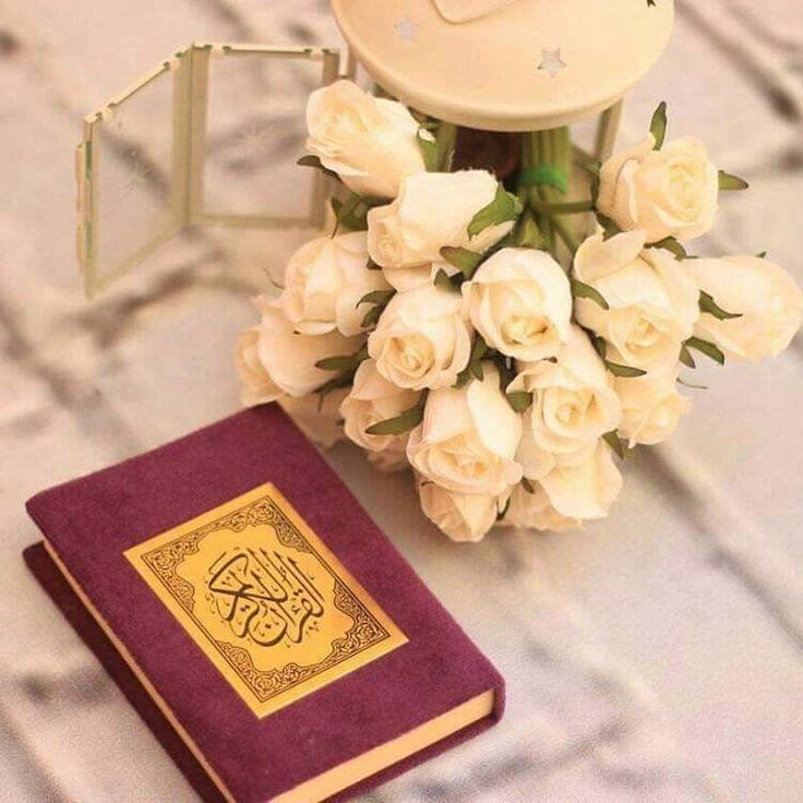 ‬‏صلّو على من وصفنا بالمؤنسات الغاليات 🦋
صلّو على من استوصى بقلوبنا وضعفنا وقال
رفقاً بالقوارير 🦋
صلّو على من قال وهو في أخر آنفاسه
واستوصوا بالنساءِ خيراً 🦋
صلّو على من اختصر الحب فى قوله لا
 تُؤْذِينِي فِي عَائِشَةَ🦋
 صلوا على من بكى شوقا لرؤيتنا🦋
صلّو على من قال إنمَا النساء شقَائق الرجال 
ماأكرَمُهنَ إلا كَريم و ما أهانهُنَ إلا لَئيم 🦋
صلو على مَن جلس على ركبتيه يواسي طفلاً مات عصفوره🦋
‏صلّو علىٓ من علّمنآ الحُب  و آخى القلبٓ بـالقَلبِ 
وفَـتح للخَيـرِ كُل دَربٍ ﷺ 
صَلو عَلى مَن كانَ لا يُؤذي ولا يَجرح أحداً 
بَلْ كان كلامُه طيباً عذباً للقُلوب 
اللهم صلي وسلم وبارك على سيدنا محمد وعلى آله وصحبه أجمعين 🤍🦋.