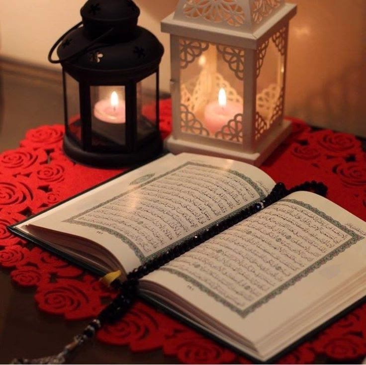 🤲🌿اللّهمّ فرّج أُموراً ضَاقت بها صُدورنا . وعجزت بها حيلتنا وقلّ بها صَبرنا... الّلهمّ أَسعِد قلوبنا بما أنتَ أعْلَمُ بِهِ مِنّا ... اللّهمّ اجْعَل مانُريدُه سَعيداً لخواطِرنَا .اللّهمّ أسْعدنَا سعادتين : الدّنْيا بِخيرِها والجنّةِ بِفردَوسها♥️.