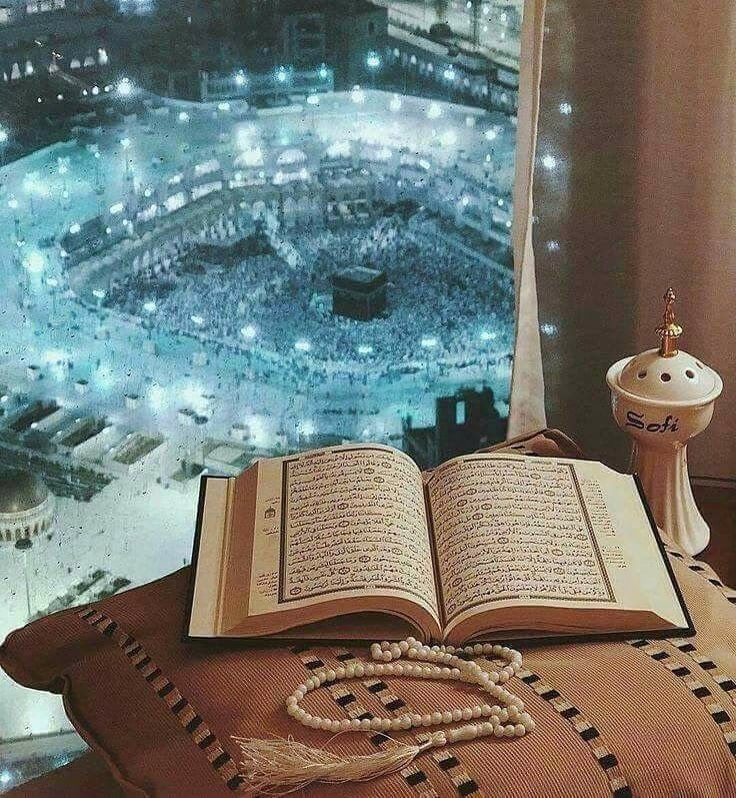 صباااااح تشعشع
انواره من كل جهة تحيط بكم
صباااااح يملىء نوره الارض ويضيء السماء
صبااااح لمن في ابتساماتهم صباح
وفي وجودهم جمااااااال
وفي كلمااااااتهم جبر
صبااااح لمن لايحلوا الصباح إلا بهم
وفي كـــل بداااااية صباح
نسأل الله ان تصااااابحكم النعم
وتعمكم البركااااات وتغمركم الخيراااااات
وان يكون لكم اليوم وما بعده خيرا من ذي قبل
عصمة ومغفرة ورحمة ورضوااااانا

🌸صبااااح الخير🌸