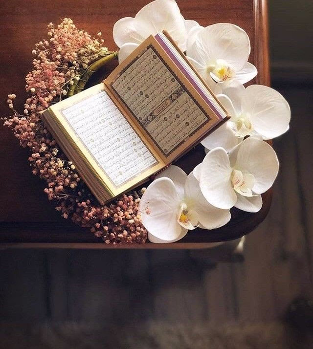 ✍وتشرق شمس.... يوم جديد.
يوم لا نعرف. ماذا مخبئ.... لنا فيه. من رب كريم
اللهم اجعله. يوم سعد وخير. ورضى
يارب العالمين
ويأتي الخير. من النية. الصادقة. والقلب السليم
فاجعلنا. يارب. من عبادك. الطائعين. بمحبتك.
ورضاك    طول العمر. 🌷

صباح الخير 🌷🌷