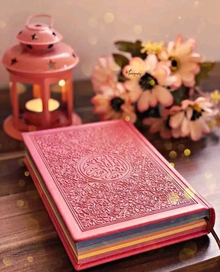 هنا أجد راحتي.🤎🩷🦋✨