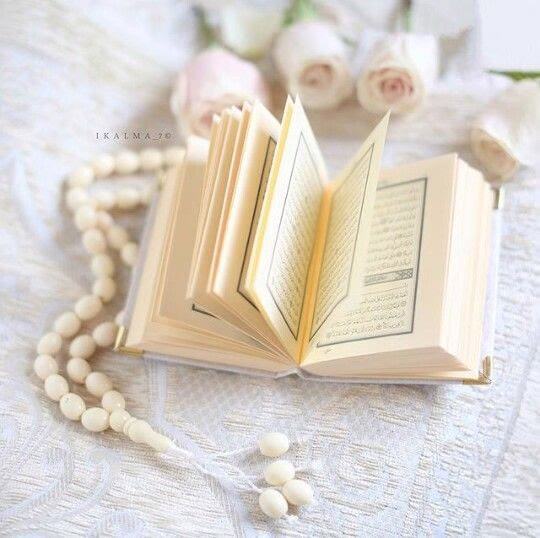 🔖🌸 لا تنسَ ذِكر الله في كُل لحظه :

سُبحان الله⠀‎⠀⠀‎⠀⠀⠀‎⠀ 
الحمــدُ لله⠀‎⠀⠀‎⠀⠀⠀‎⠀
لا إله إلا الله⠀‎⠀⠀⠀⠀⠀‎⠀
الله أكبـــــر⠀‎⠀⠀‎⠀⠀⠀‎⠀
استغفِـرُ الله وأتـوبُ إليــه⠀‎⠀‎⠀
لا حــول ولا قــوة إلا بِـالله⠀⠀‎⠀
اللهُمَّ صلِّ على نبينا محمد⠀‎⠀‎