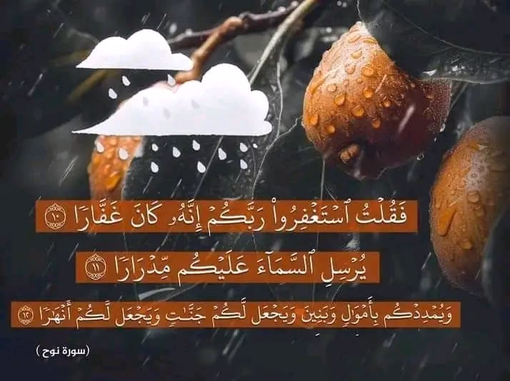 ﴿فَقُلْتُ اسْتَغْفِرُوا رَبَّكُمْ إِنَّهُ كَانَ غَفَّارًا﴾🌸
﴿يُرْسِلِ السَّمَاءَ عَلَيْكُمْ مِدْرَارًا﴾ 🌧
﴿وَيُمْدِدْكُمْ بِأَمْـوَالٍ وَبَنِينَ﴾ 
﴿وَيَجْـعَلْ لَكُمْ جَنَّاتٍ وَيَجْـعَلْ لَكُمْ أَنْهَارًا﴾
                                         ــ سورة نوح ــ