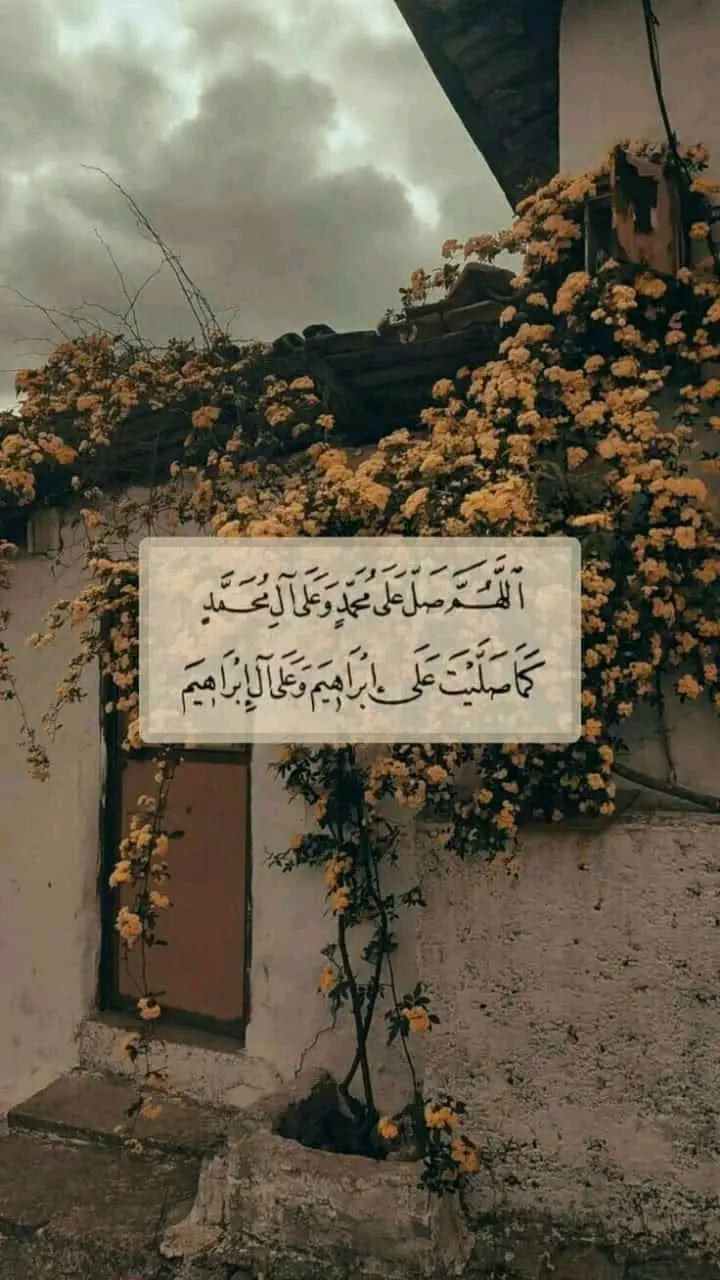 صلﷲعليه وسلم🤎