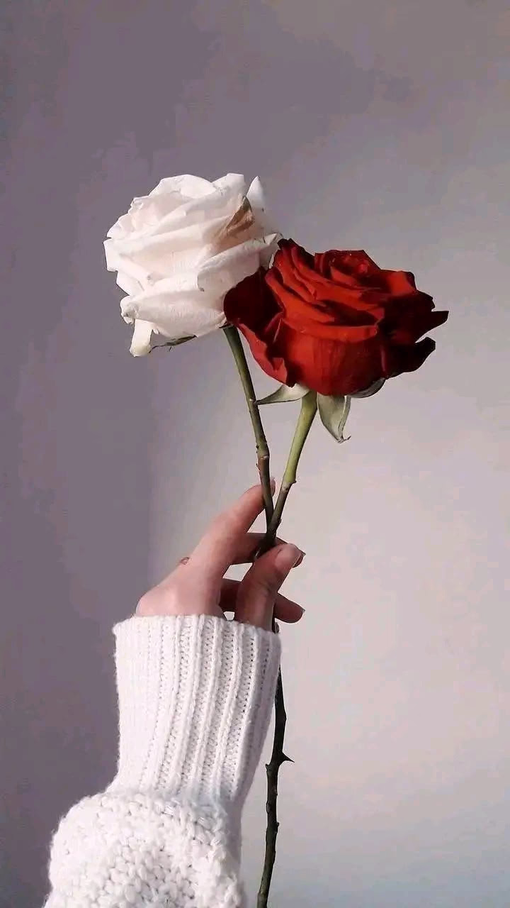 ثم بعد صبرك الايوبي ستنال امنيتك اليوسفية ❤️‍🩹🦋

#تصبحون على ماتتمنون 🤍💙

#بالله_الواثقة