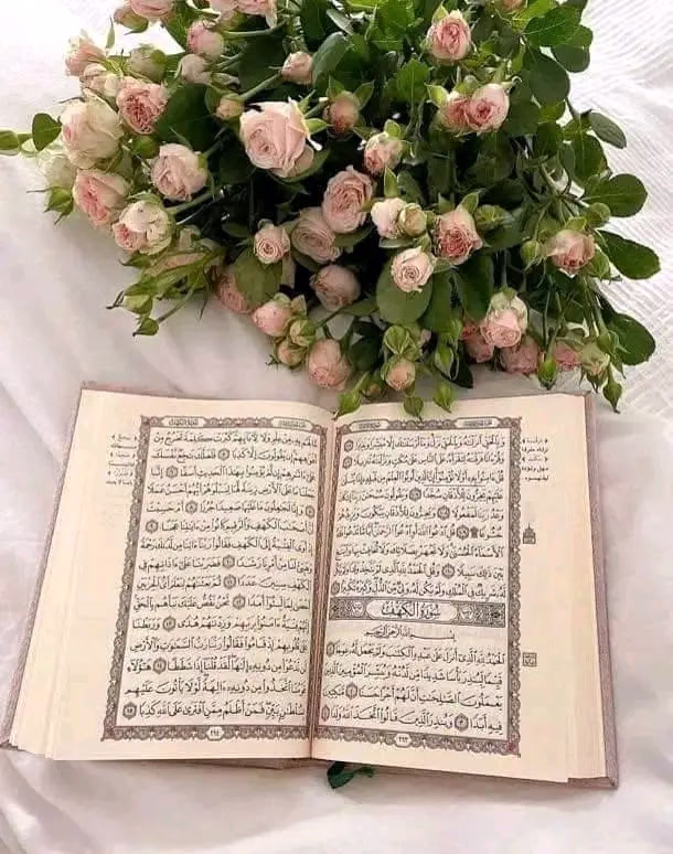 *اللهم في يوم الجمعة أسألك أن ترزقنا نوراً فى القلب،ورضا في النفس وسعةً في الرزق ومحبةً في القلوب*🤍🌸