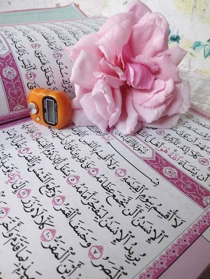 اللهُمَّ إني أحاول فأعني، وإني أتعثر فأقِمني، وأني أُشتت فدلني.