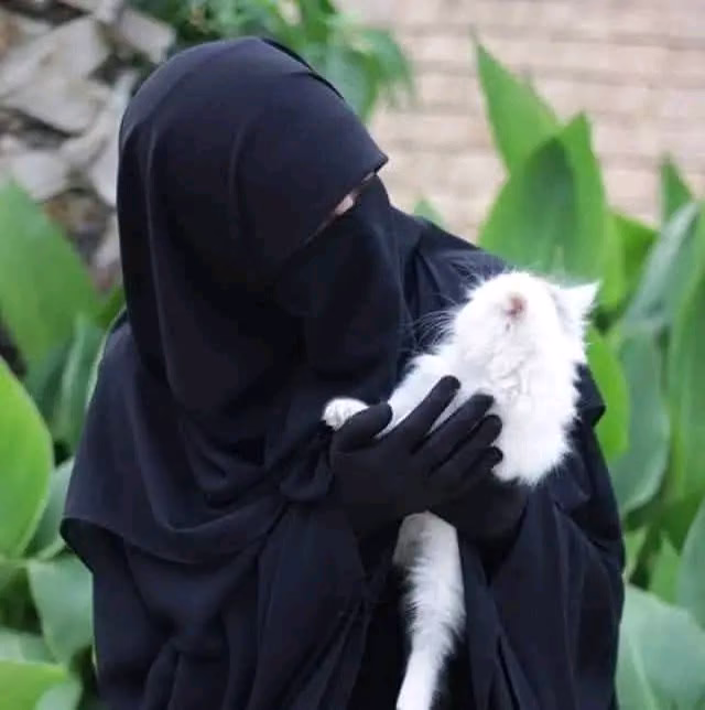 "و رجائِي ألا تتركني لنفسِي الضعيفة
فأهلك،وأنا دُونَ عونكَ هالكٌ"🤍
