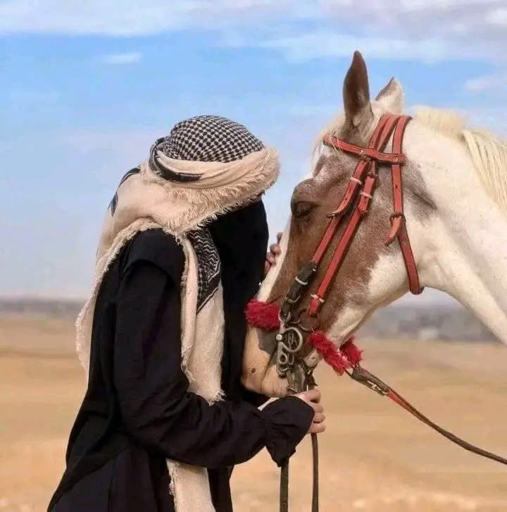 وآن لِ قلبآ فى حب آلڂيل ﭰد فُتِن🐴✨»