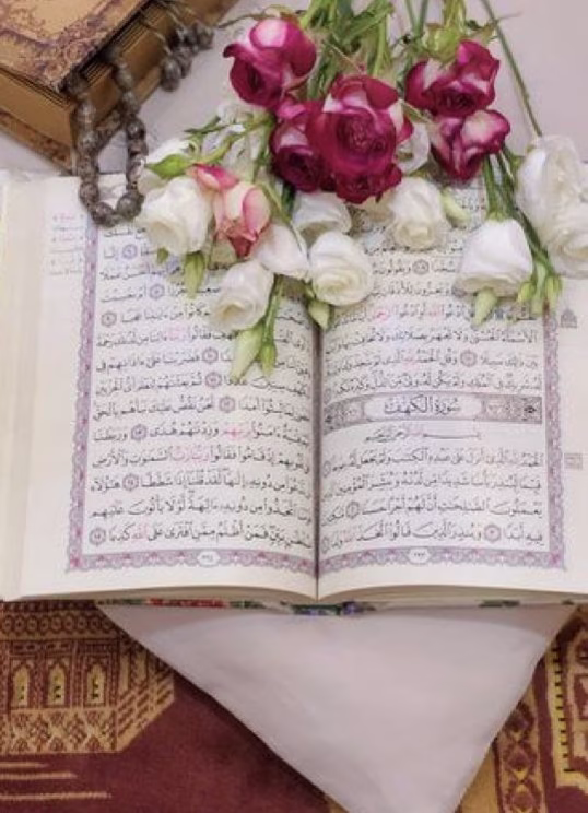 { وَكَيْفَ تَصْبِرُ عَلَىٰ مَا لَمْ تُحِطْ بِهِ خُبْرًا }

حقيقي بيبقى صعب على الإنسان بنظرته الدنيوية المحدودة إنه يفهم كل اللي بيحصل حواليه أو يفهم الحكمة المستخبية وراء الابتلاء

فـيا رب ألهمنا الصبر على ما لم نحط به وارضنا بقضائك حتى تظهر حكمتك في كل شيء 💙