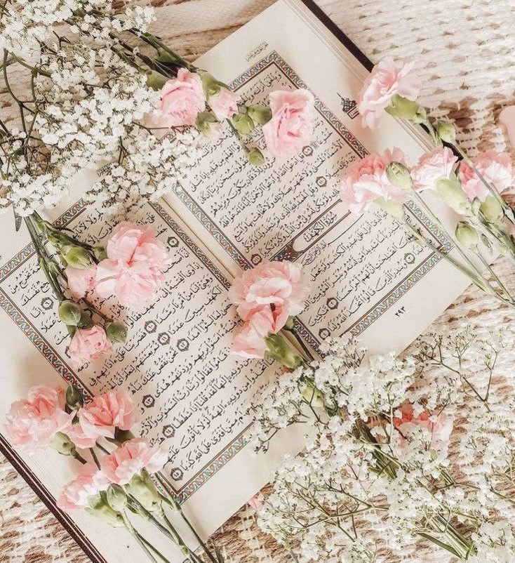 البسي واسع♡
البسي واسع عشان ربنا أمرنا بكده♡
البسي واسع عشان تحسي انك مرتاحة وانتي ماشية♡
البسي واسع عشان الشباب ميبصوش عليكي♡
البسي واسع عشان لما الناس تبصلك تبصلك نظرة احترام وتقدير مش نظرة تحسسك انك قليلة♡
البسي واسع عشان لما شاب يشوفك يستحي يعاكس او يقولك كلمة تجرحك علي عكس اللبس الضيق هي اللي بيجبرهم علي كدة♡
البسي واسع عشان محدش ضامن عمره عشان لو حصلك حاجة في اي وقت وهتقابلي ربنا تكوني جاهزة تقابليه♡
البسي واسع عشان تكبري في نظر نفسك قبل ما تكبري في نظر حد♡

البسي واسع الجنة'ة تستاهل والله العظيم تستاهل🥺♥️