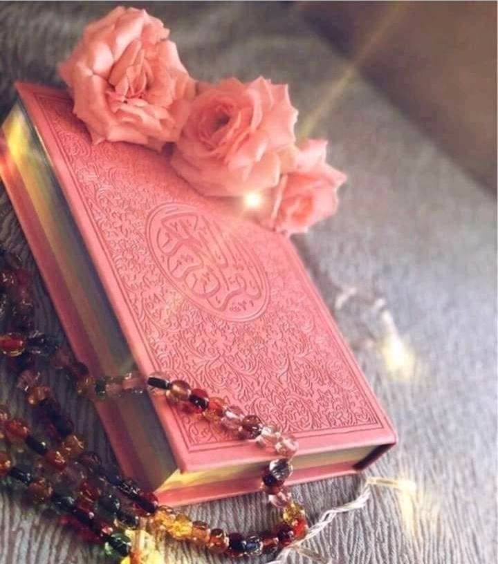 { *وَأَشْرَقَتِ الْأَرْضُ بِنُورِ رَبِّهَا* }

سُبحان من تنفّس الصّبحُ بأمره..☀️

🤲🏻اللّهم بك أصبحنا وعليك توكّلنا وأنت خير الحافظين..♥️

🤲🏻اللّهم اكتُب لنا مع أنفاس هذا الصباح خيرًا .. ورزقًا .. وعافيةً .. ودُروبًا ميسّرة..♥️