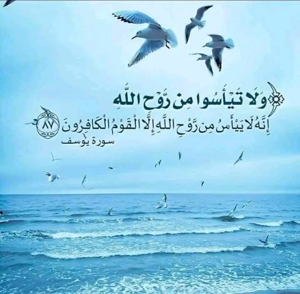 🙏هوِّن على نفسك.. فوالله.. إذا أراد الله؛
ما منع مانع، ولا حجب حاجب.

👌إذا أراد الله؛
جاءتك الأماني خفيفة، وصارت لك المستحيلات حقيقة.

﴿ *إِنَّمَا أَمْرُهُ إِذَا أَرَادَ شَيْئًا أَن يَقُولَ لَهُ كُن فَيَكُونُ* ﴾

#المستغفرين_بالأسحار📿    #رسول_الله_ﷺ